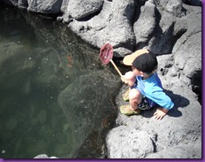 tide pools 028 - Copy