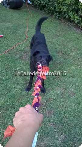 WP_20150810_025