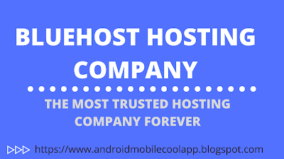 Bluehost hosting company