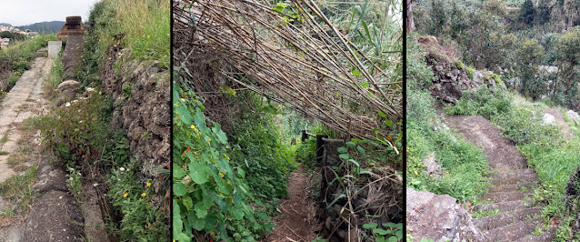 Path to Santa Quiteira