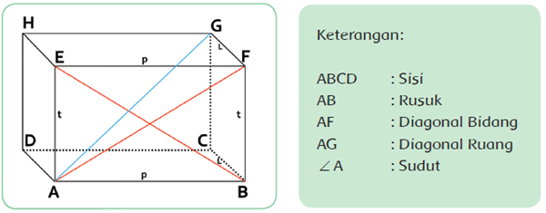 Kemudian bandingkan jaring jaring  kemasan yang telah kamu 