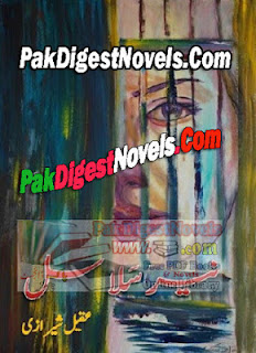 Neer Salasal Novel Complete By Aqeel Sherazi Pdf Free Download