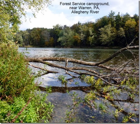 Forest Service campground, near Warren, PA, Allegheny River