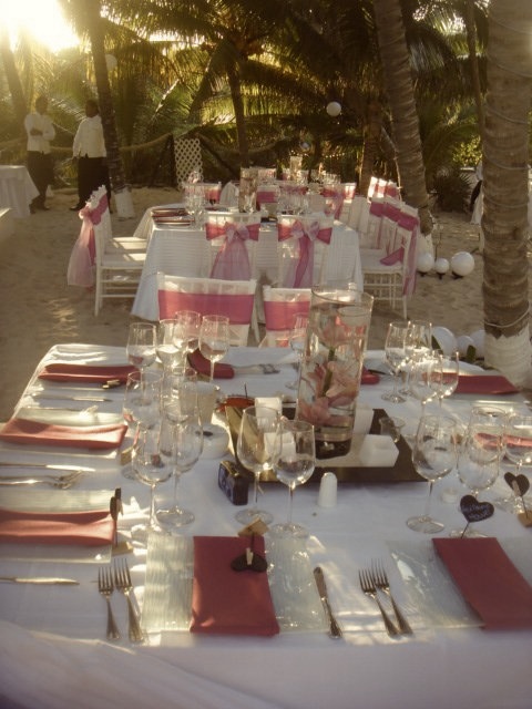 sublime white of the tiffany styled chairs and tables Flower center pieces 