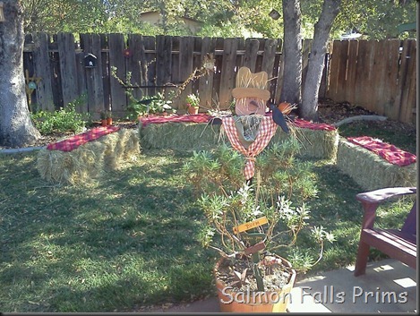 harvest party-5