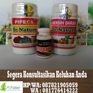 Obat Kutil Kelamin