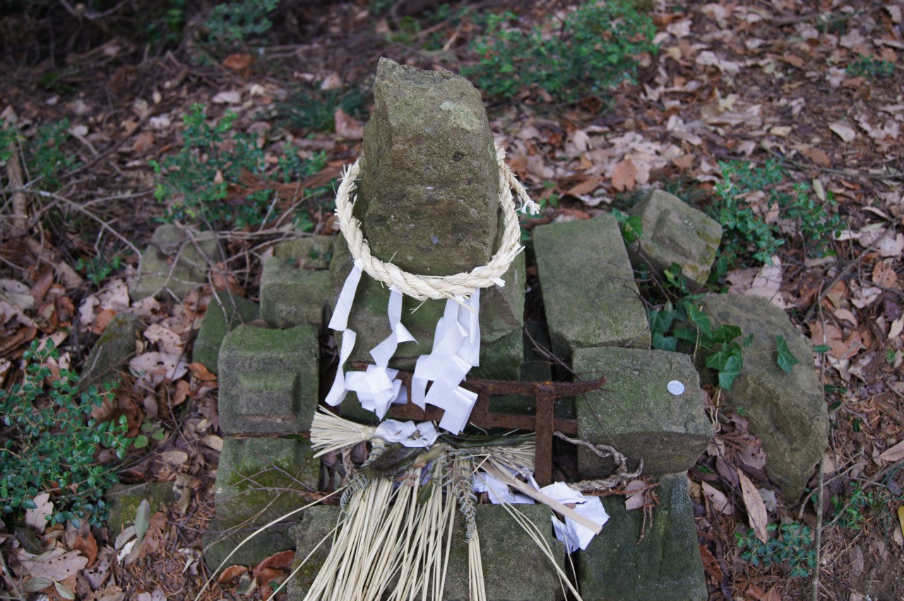 岩石と土の表情 君津市内のある神社で観察した伊豆軟石