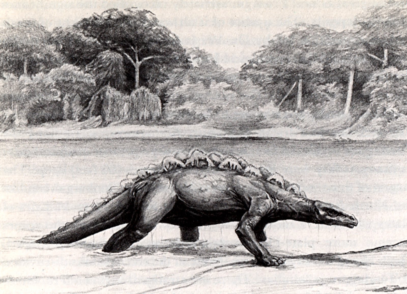 Mokele Mbembe: The Legend of a Dinosaur That Survived to Modern