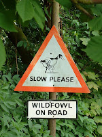 Slow Duck sign
