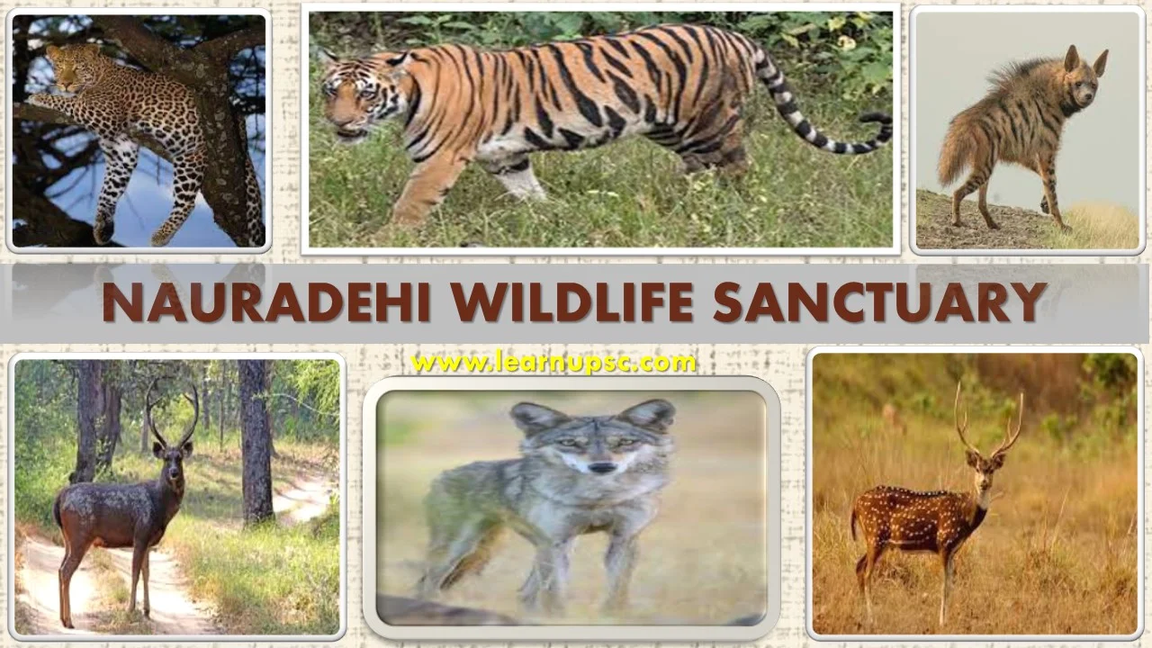 Nauradehi Wildlife Sanctuary