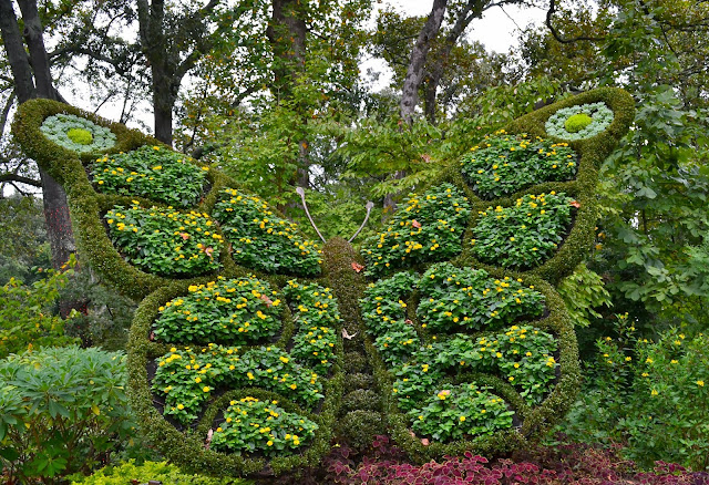 Atlanta Botanical Garden