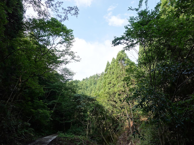 鳥取県西伯郡南部町東上の鎌倉山に登ります