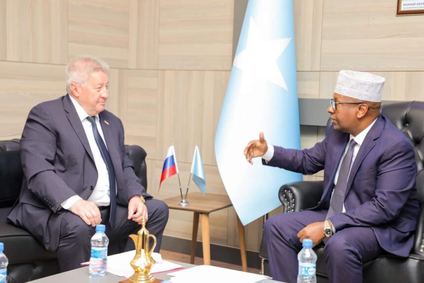 The Somali Minister of Foreign Affairs and International Cooperation received in his office the Ambassador of the Russian Federation