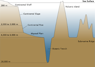 Diagrammatic cross-section of an ocean basin, showing the various geographic features. Note significant vertical exaggeration.