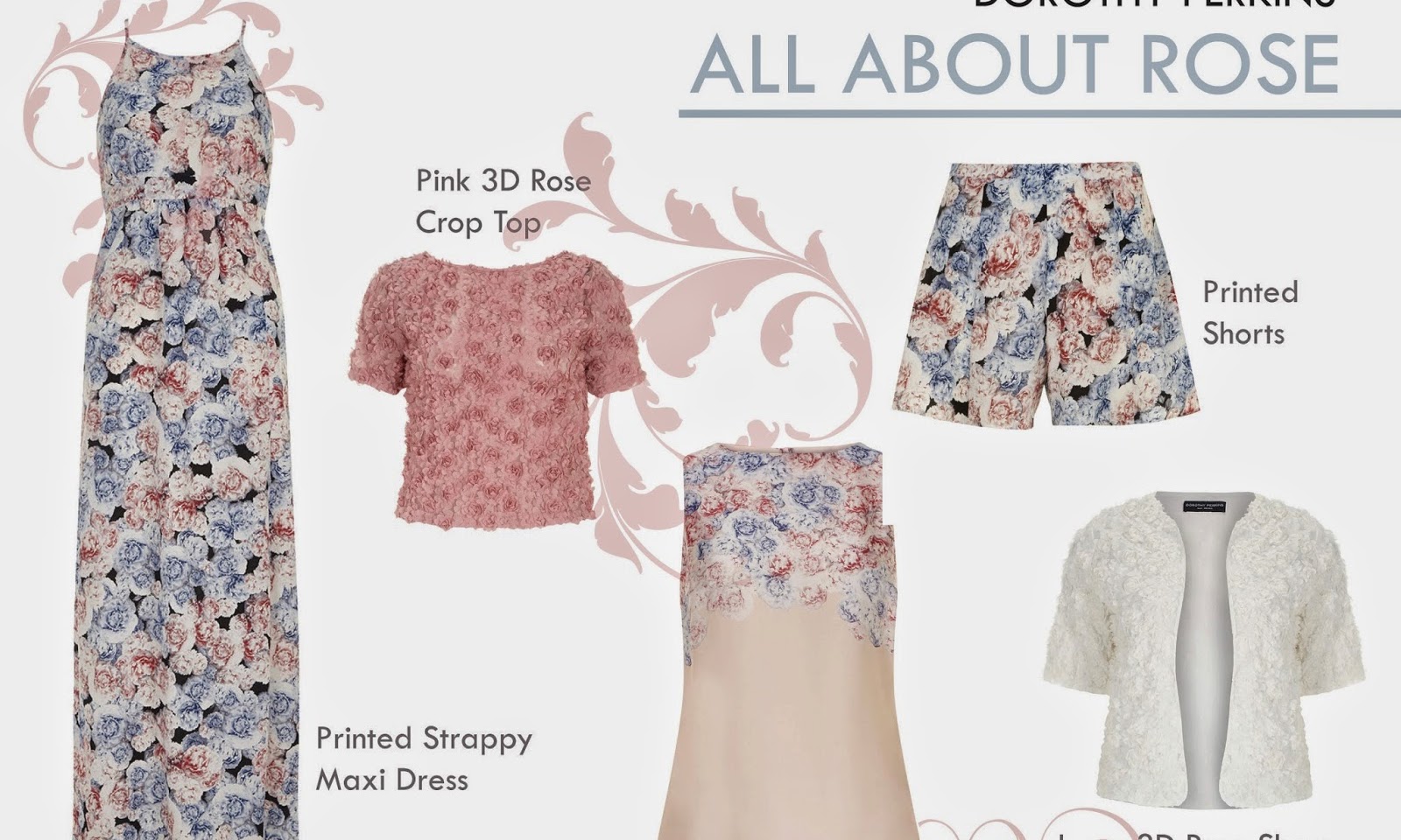 dorothy perkins all about rose