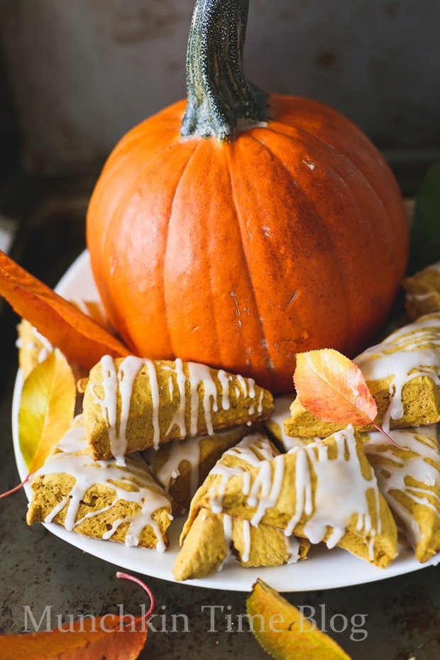 Mini-Pumpkin-Scones-Recipe-www.munchkintime.com-35