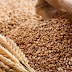 CBN: Nigeria Spends $2bn On Wheat Importation Yearly