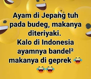 Beda Ayam Jepang Dengan Ayam Indonesia