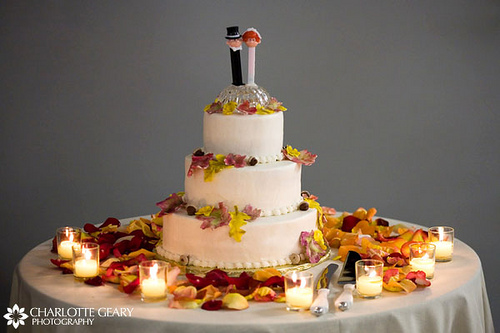 Autumn Wedding  Cake  Toppers  Autumn Weddings  Pics
