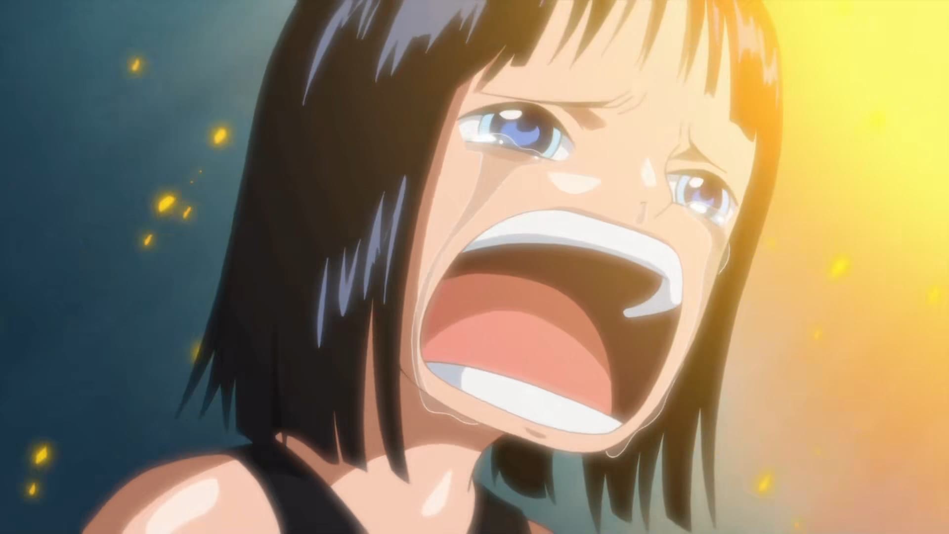 One Piece ウォーターセブン編 Water7 Arc One Piece ウォーターセブン編 Water7 Arc