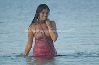 Sunaina hot cleavge,navel and thigh show  images