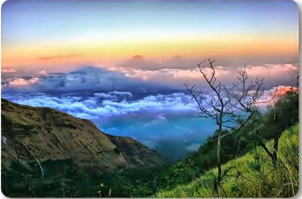 Taman Nasional Gunung Merbabu