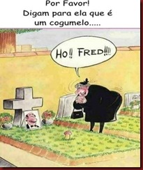 rir 21