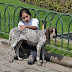 Disminuye captura de animales en la via publica: Control Canino