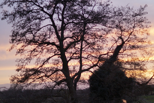 magical spring walk in norfolk countryside 