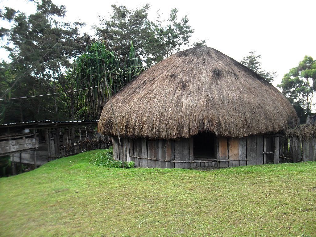  12 gambar  desain rumah  adat  papua  timur dan barat  