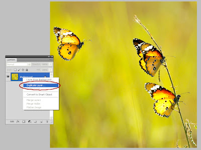 How to Make a Custom Border for Your Photos in Photoshop