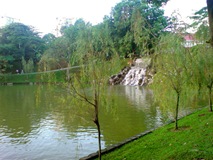 DSC00008