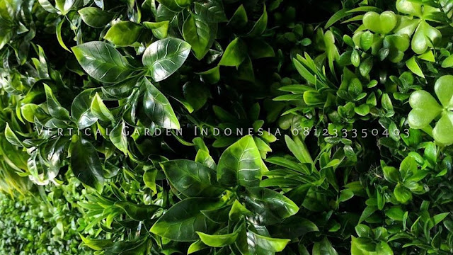 Jasa Vertical Sintetis Jakarta Jasa pembuatan vertical garden Sintetis jakarta tukang taman vertical garden Sintetis jakarta JasaPembuatanVertical Garden Jakarta Jasa Vertical Garden Jakarta Consultan Design Vertical Garden Sintetis Jakarta Arsitek Taman Vertical Sintetis Jakarta Kontraktor Vertical Garden Sintetis Jakarta Jasa Pembuatan Vertical Garden SintetisT angerang Jasa Pembuatan Vertical Garden Sintetis Bekasi Jasa Pembuatan Vertical Garden Sintetis Depok Jasa Pembuatan Vertical Garden JABODETABEK Jasa Pembuatan Vertical Garden Bogor artificial plant vertical garden sintetis jual vertical garden sintetis harga vertical garden sintetis