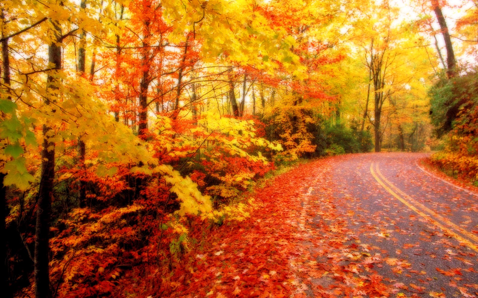 wallpapers beautiful autumn scenery desktop wallpapers http wallpapers ...