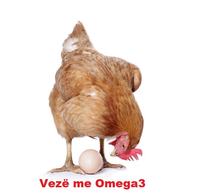 Vlerat e Fuqishme Shëndetësore të Vezëve me Omega3 