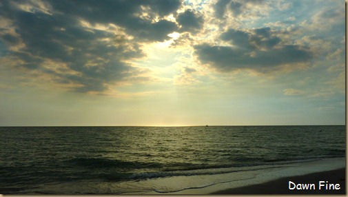 Beach walks sanibel_150