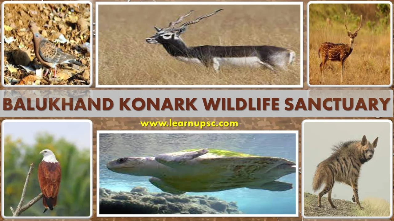 Balukhand Konark Wildlife Sanctuary