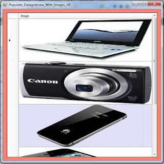bind datagridview with images