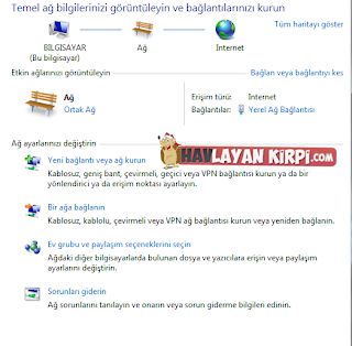 DNS Ayarları