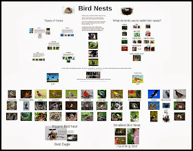 http://www.teacherspayteachers.com/Product/Bird-Nest-Prezi-1172522