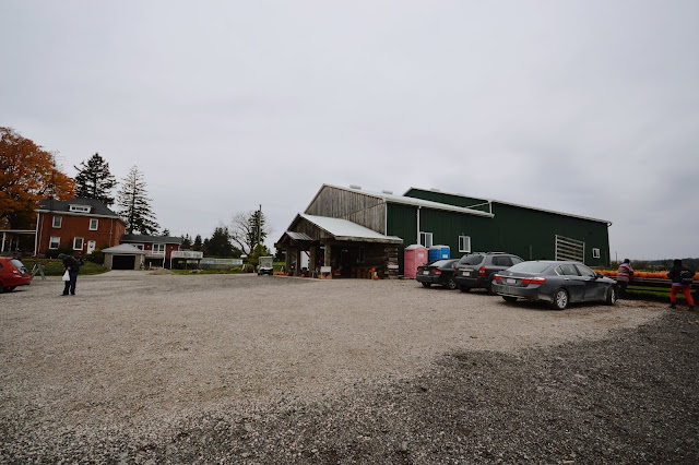 Brantview Apples & Cider, Ontario, Canada