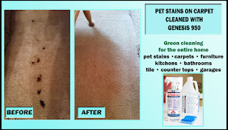 Best way to clean pet stains