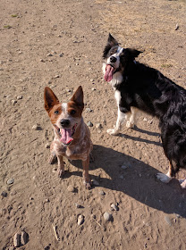 post-fetch smiles