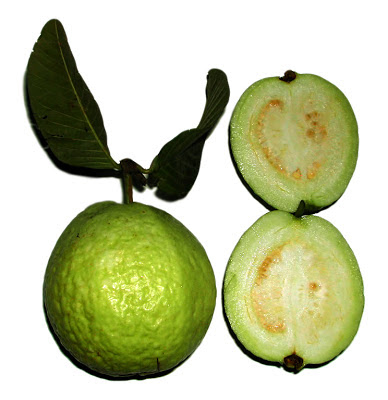 Guava philippines