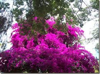 images (35)