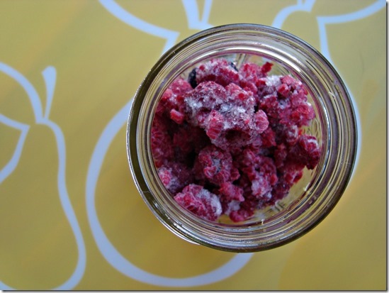 choco-chip berry quinoa