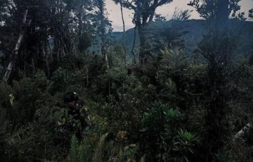 [BREAKING] Ratusan Prajurit Tengkorak Kostrad Kepung Hutan Intan Jaya, KKB Undius Kogoya Terpojok