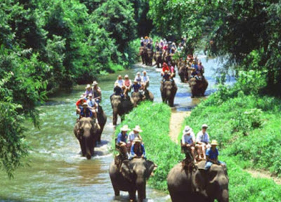 Bermain dengan Gajah di Elephant Safari Park Desa Taro, Tegallalang, Bali