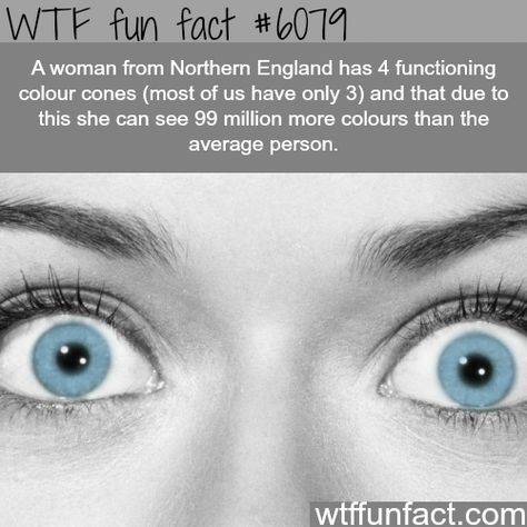 Amazing Random Facts 