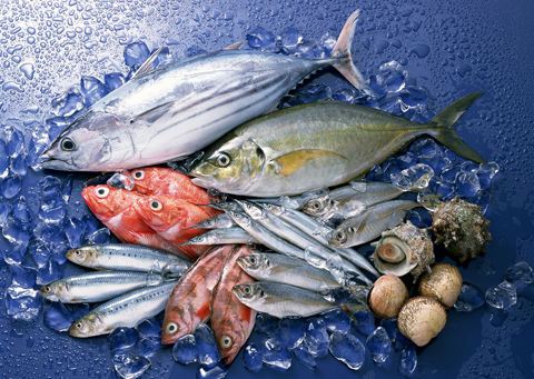 Cách chọn mua hải sản tôm, mực, sò, cua, ghẹ tươi ngon